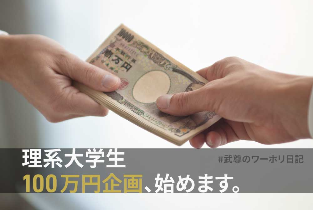 ワーキングホリデー メリット リセット