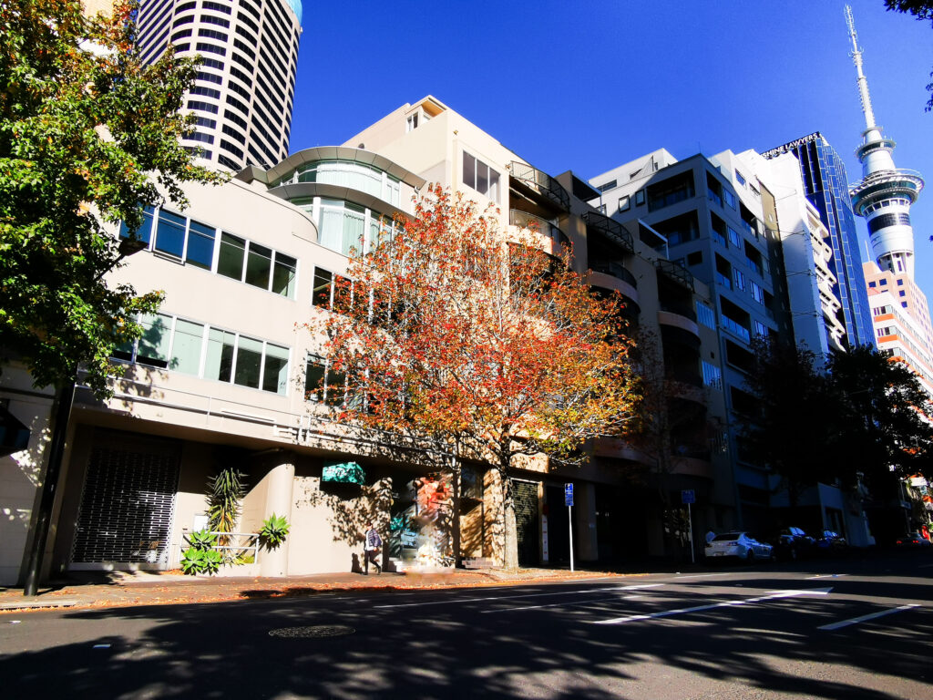 【短期留学対象】New Zealand Language Centres (NZLC)