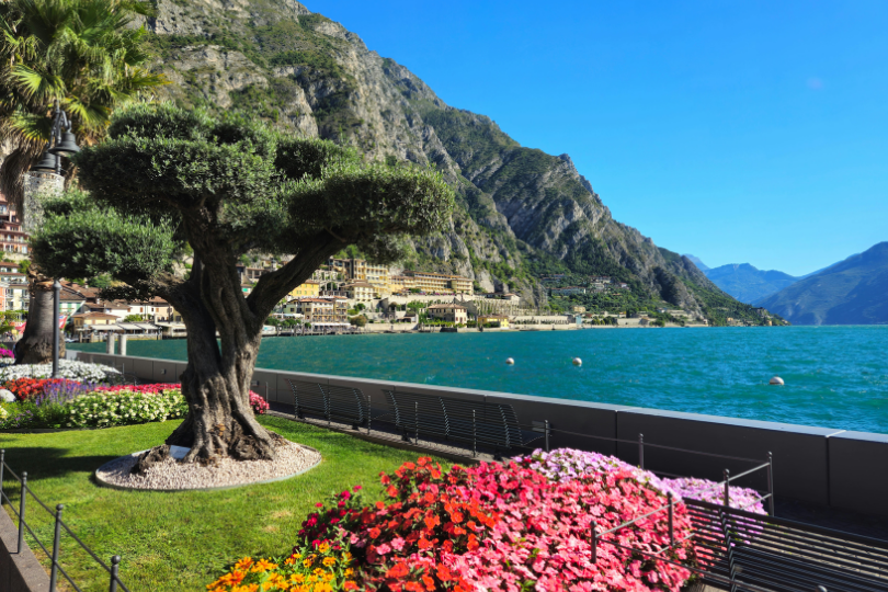 サンシャインコースト　オーストラリア　ワーホリ　おすすめ都市