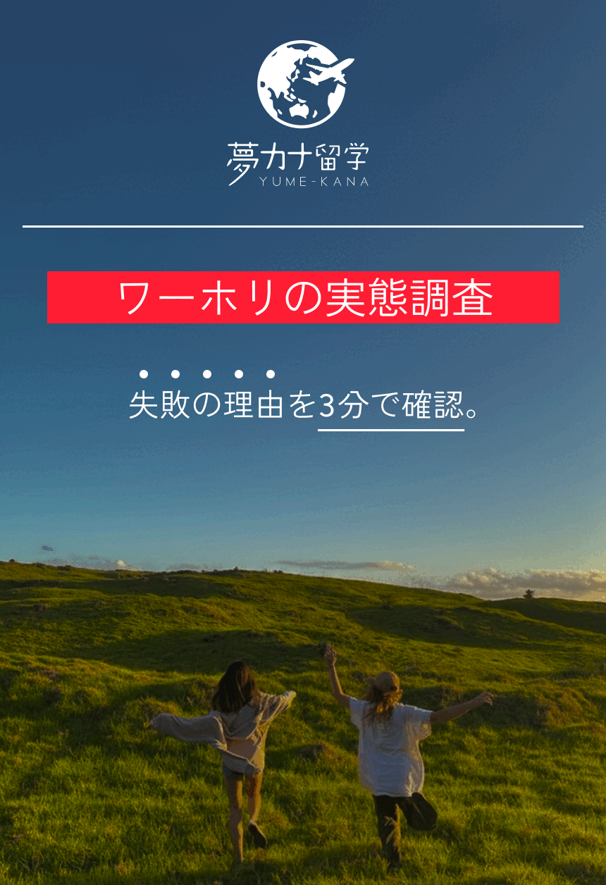 ワーホリの実態調査、失敗の理由を3分で確認。