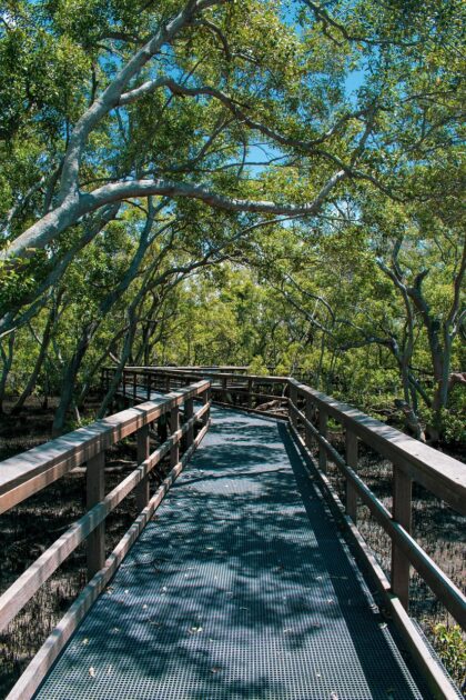 伴走してくれてありがとう！