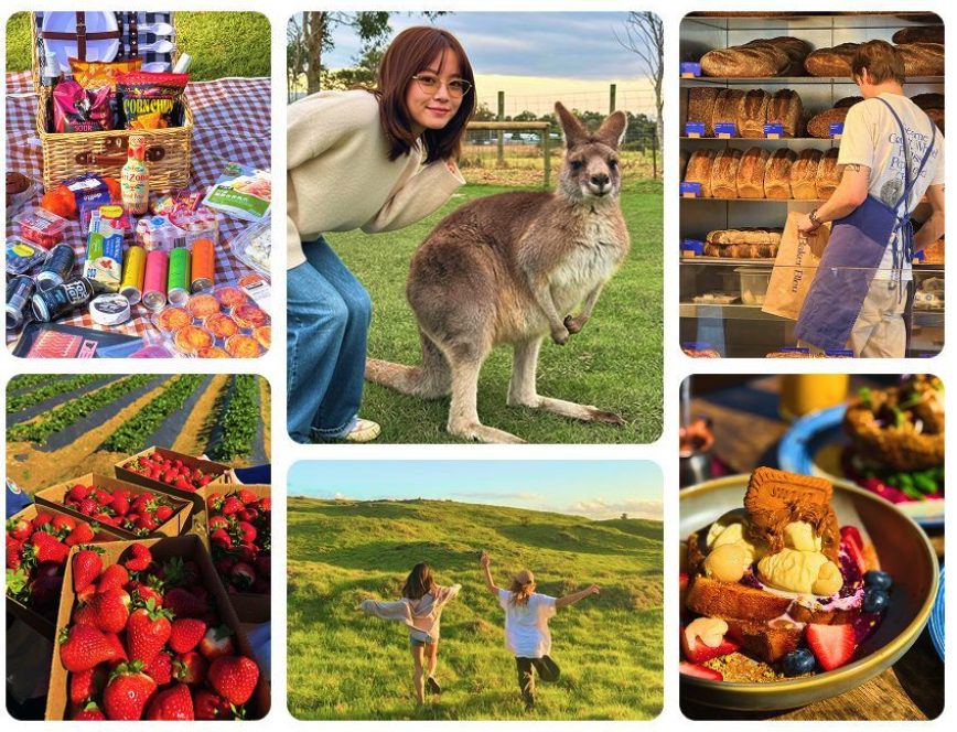 カナダ　ワーホリ