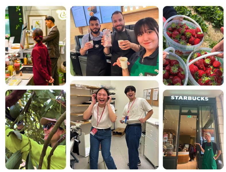 カナダ ワーホリエージェント