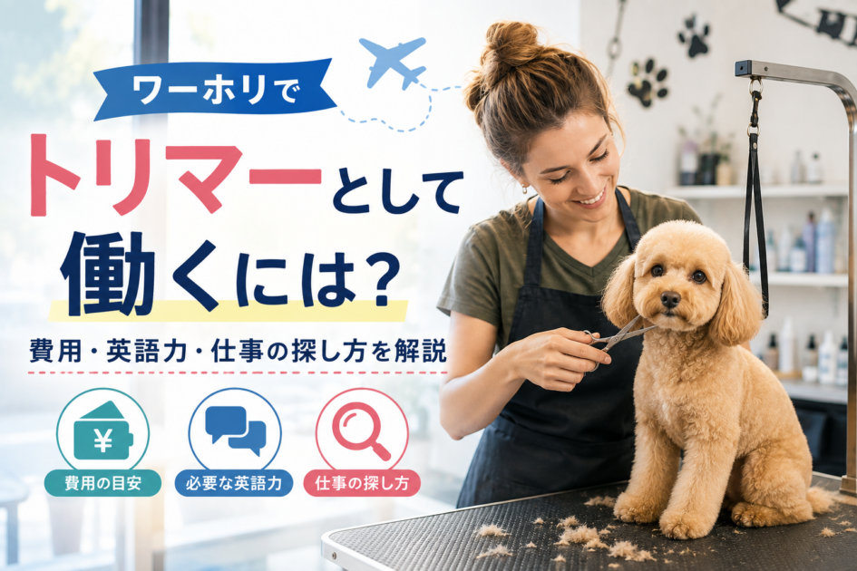 ワーホリでトリマーとして働くには？費用・英語力・仕事の探し方を解説