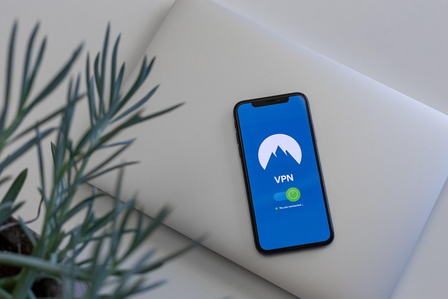 中国留学 インターネット VPN