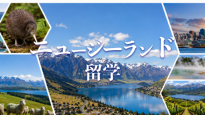 ニュージーランド留学