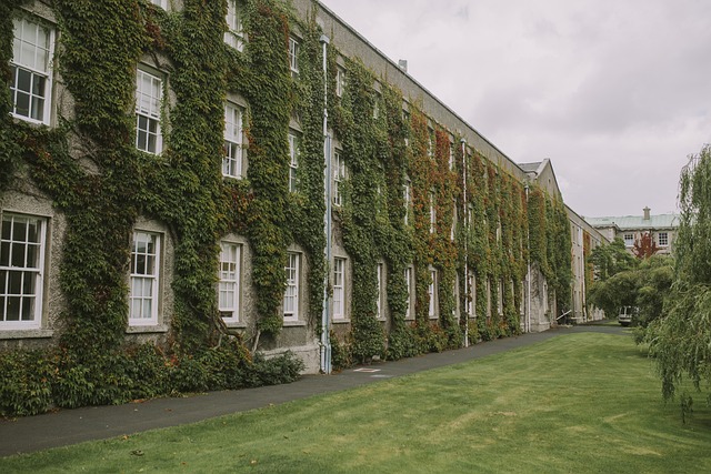 大学の交換留学 アイスランド留学