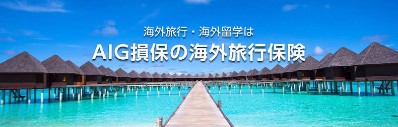 AIG損保